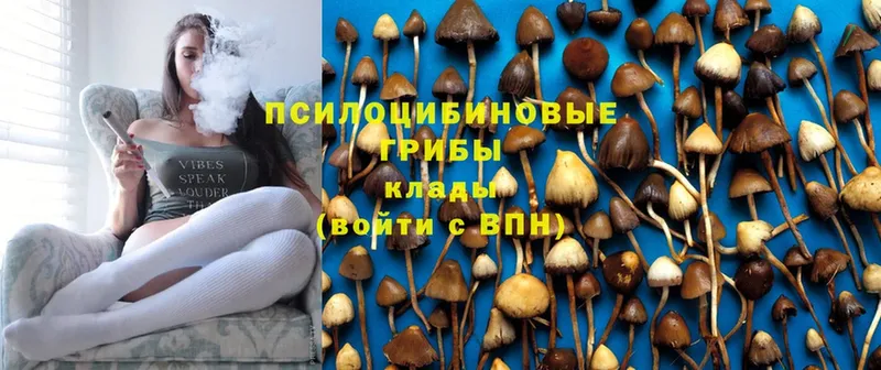 Псилоцибиновые грибы GOLDEN TEACHER  mega зеркало  Собинка 